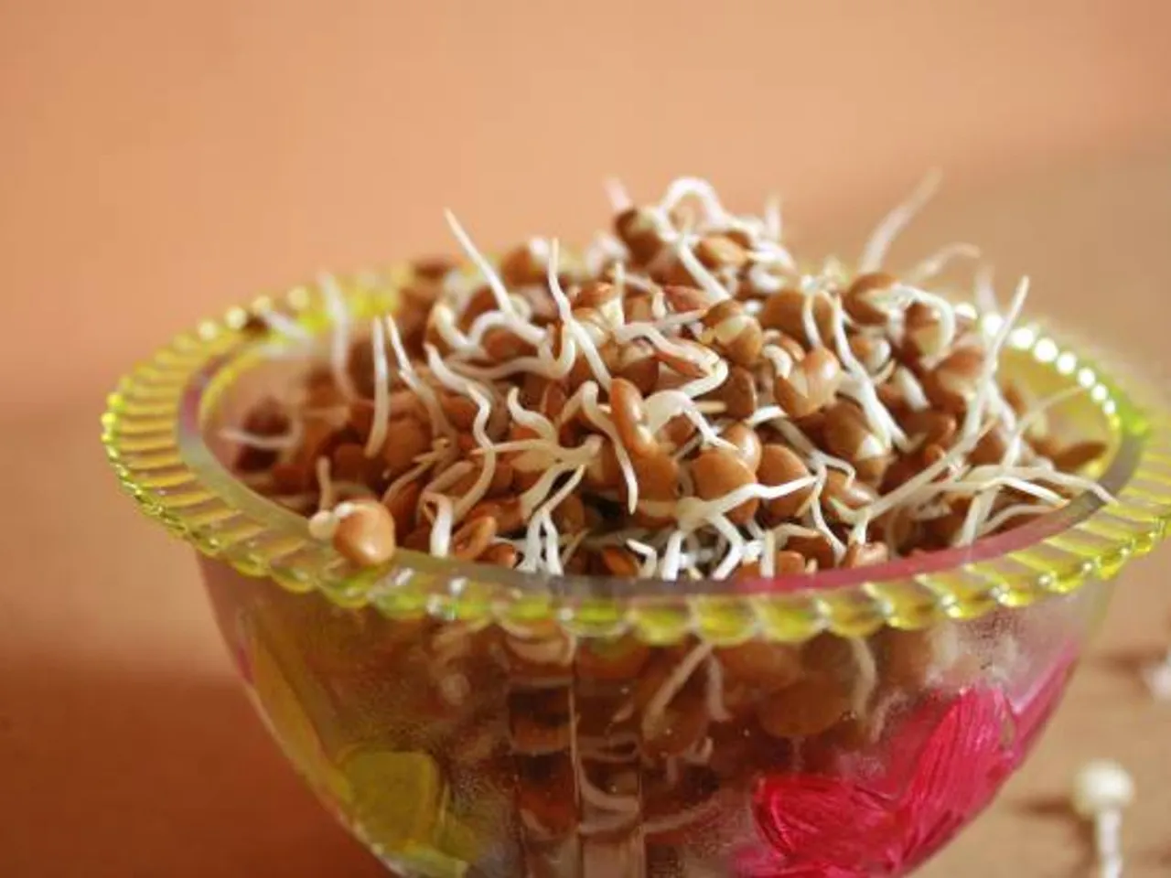 sprouts