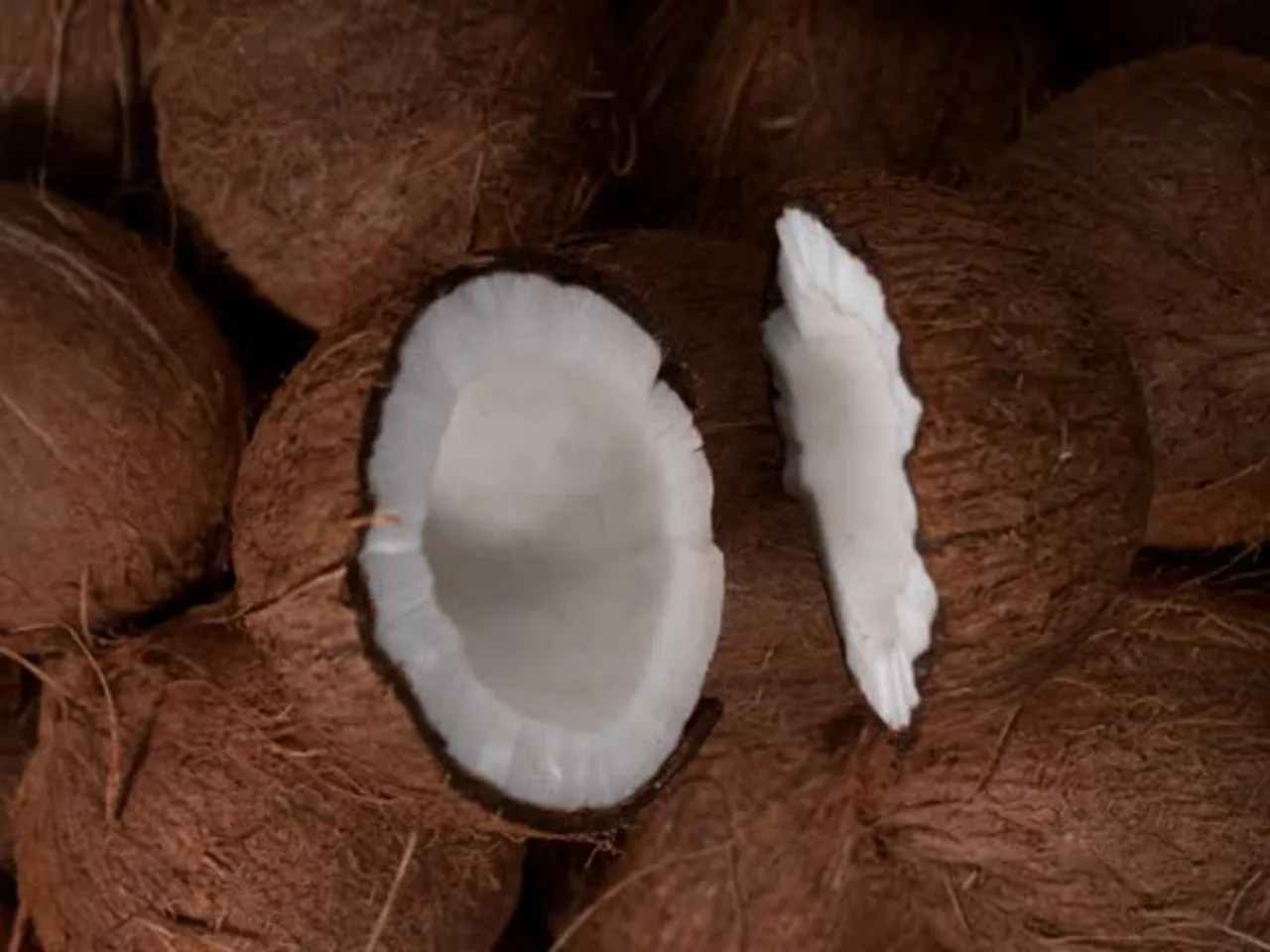 coconut