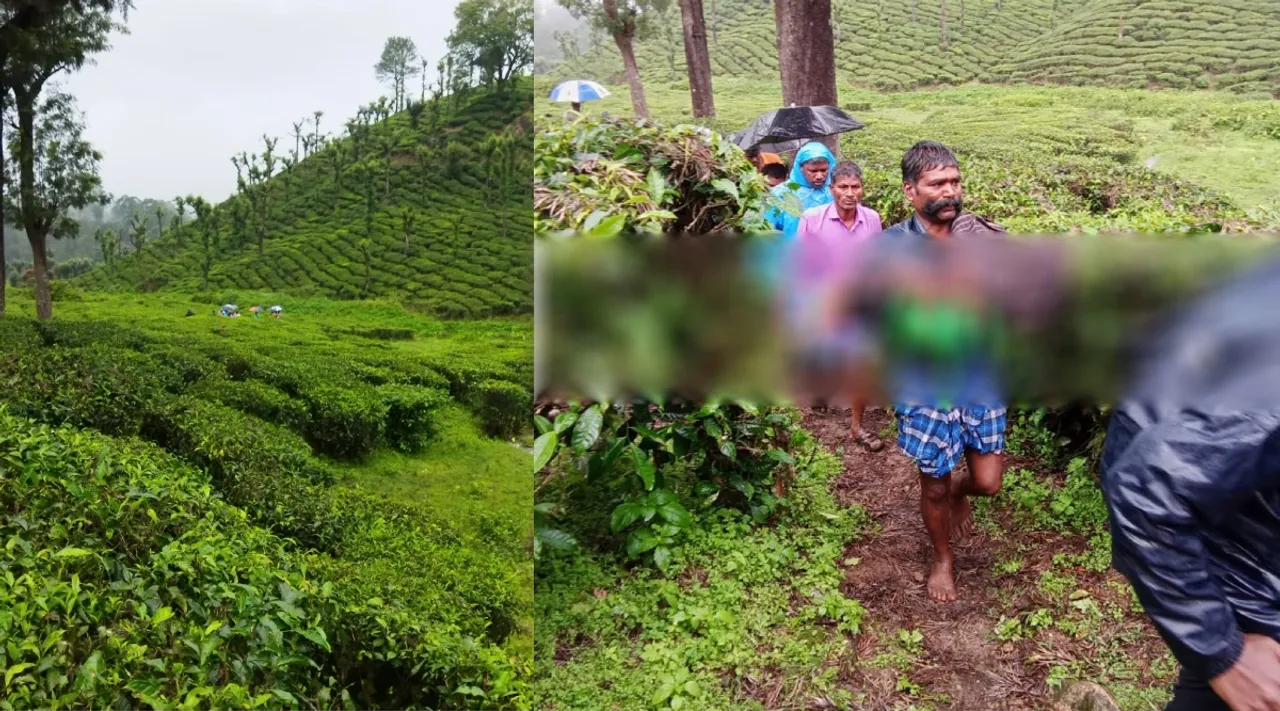 Leopard attack 6 year old girl at Valparai in Coimbatore Tamil News 
