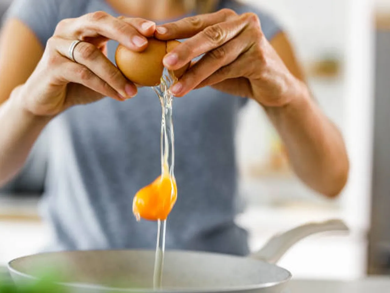 egg