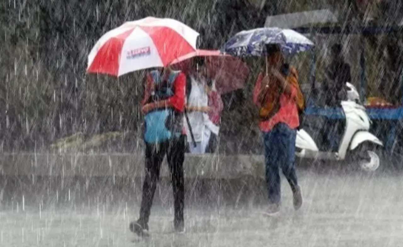 rain 