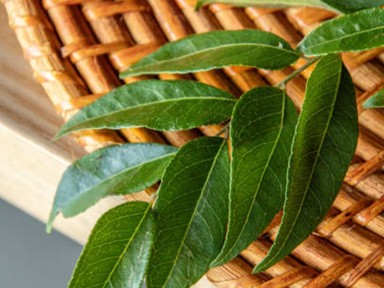 curry leaves