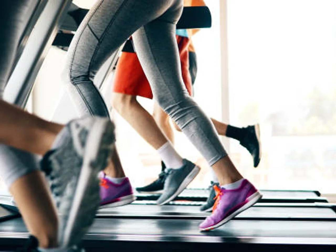 fitness