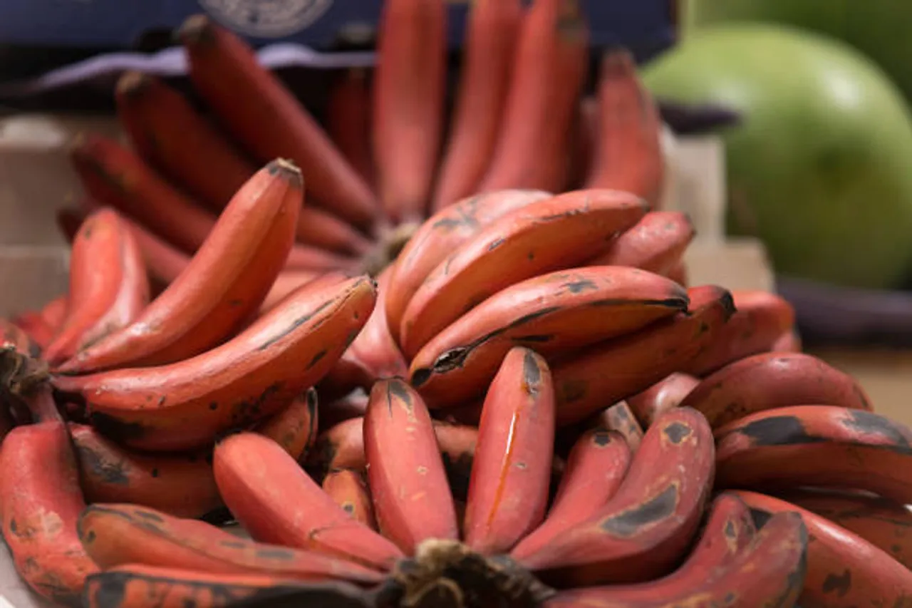 Red banana