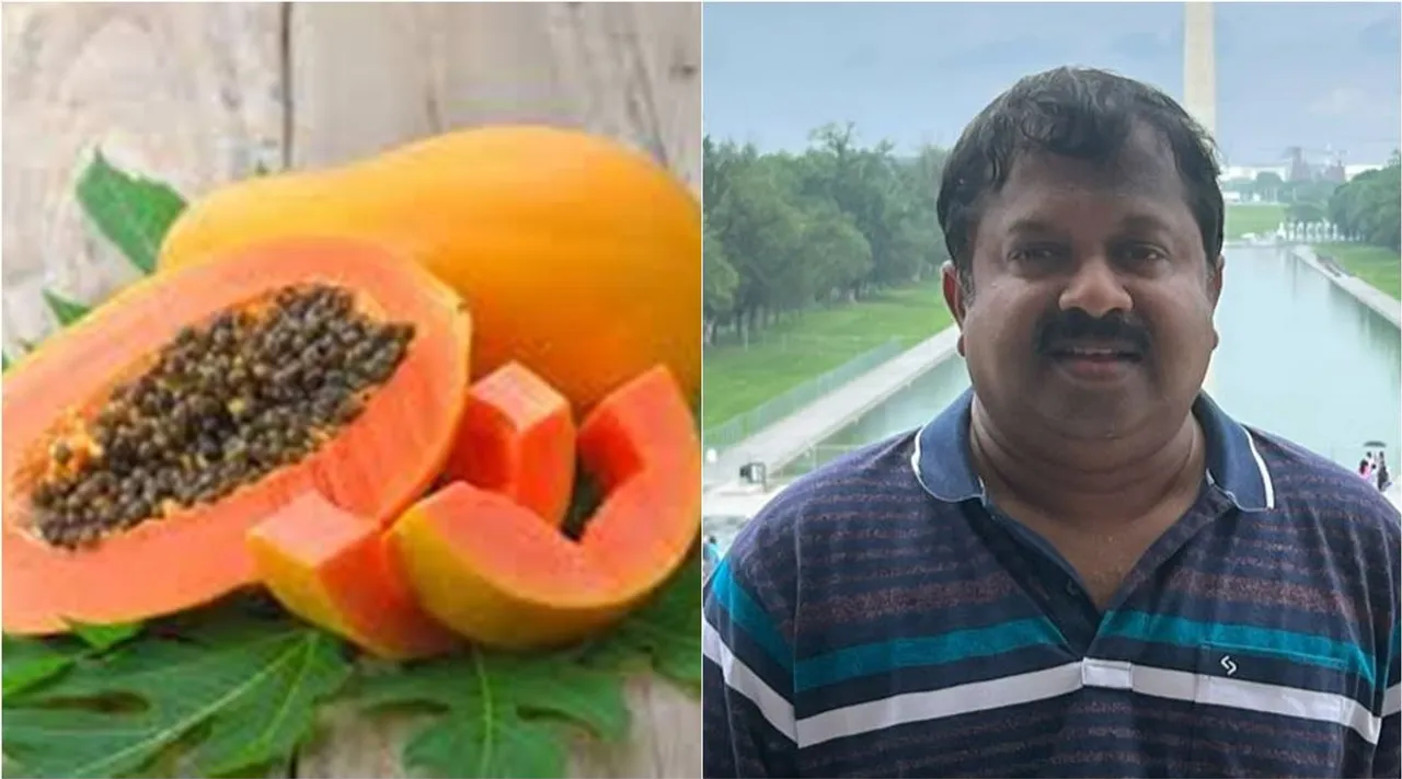 papaya sivaraman