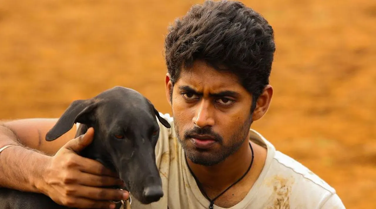 pariyerum perumal dog