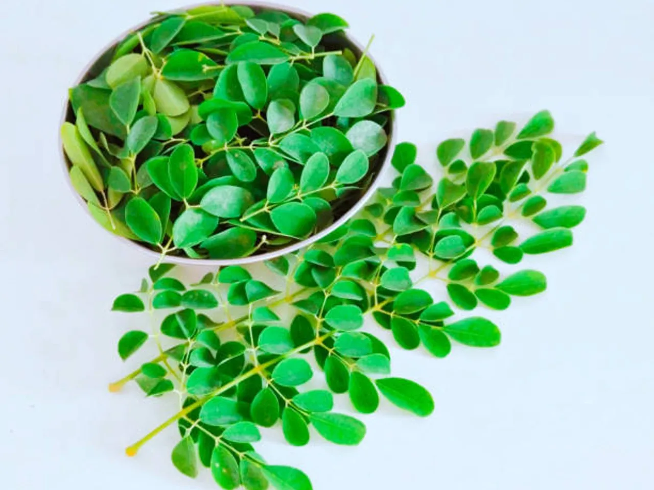 moringa