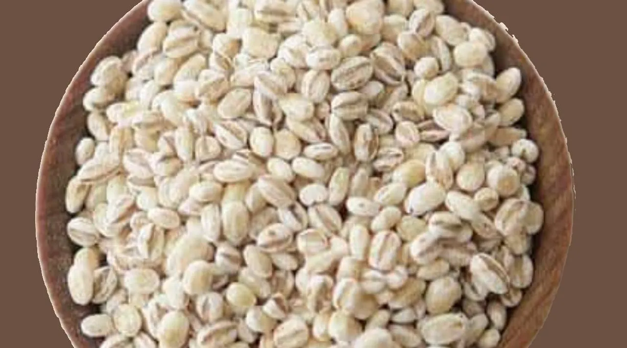 Barley rice