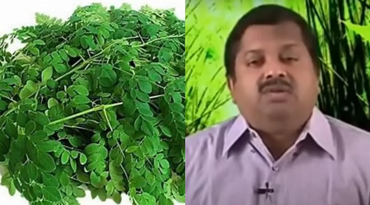 murungai keerai dr sivaraman