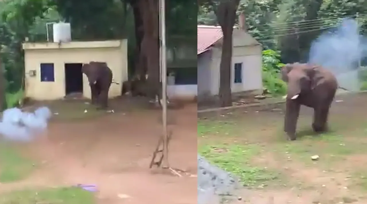 coimbatore ma