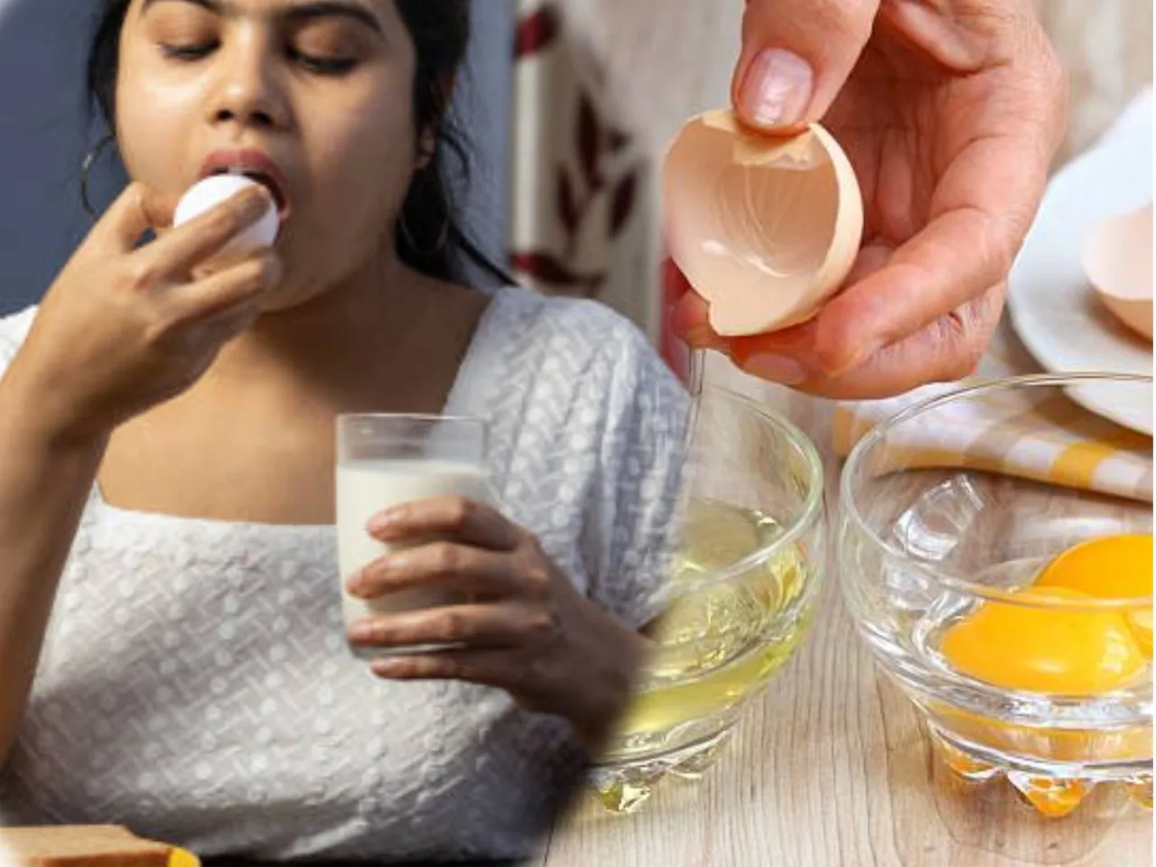 egg