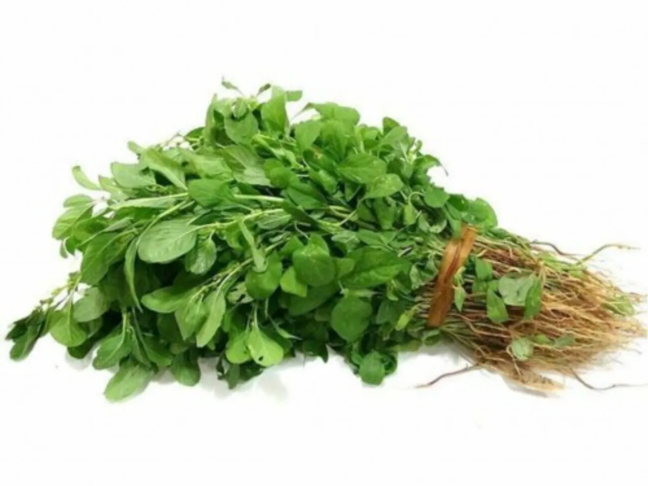 spinach
