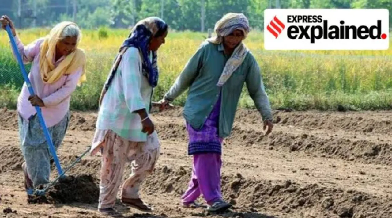 Natural farming exp