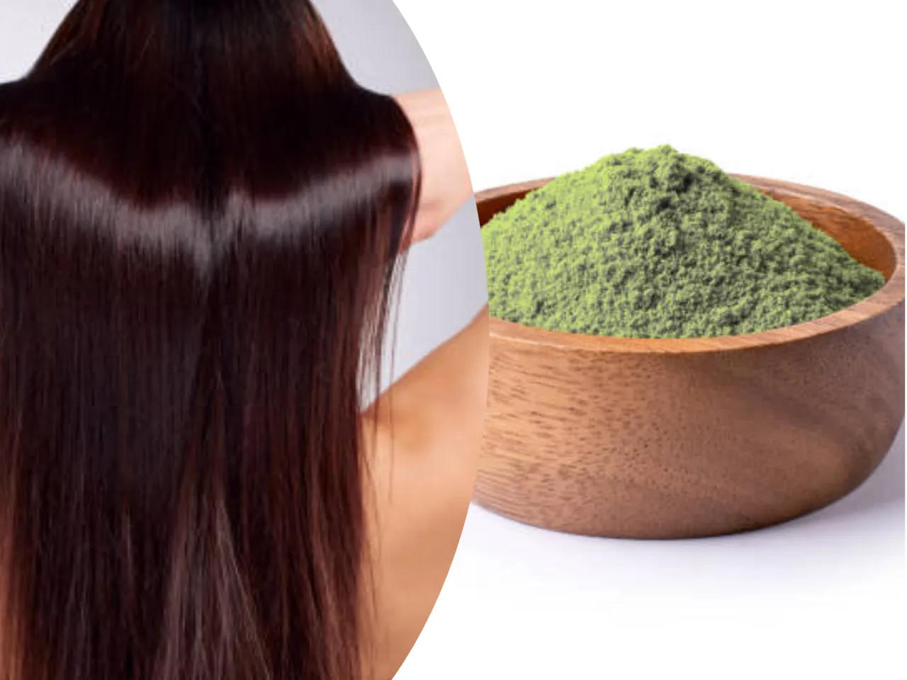 moringa