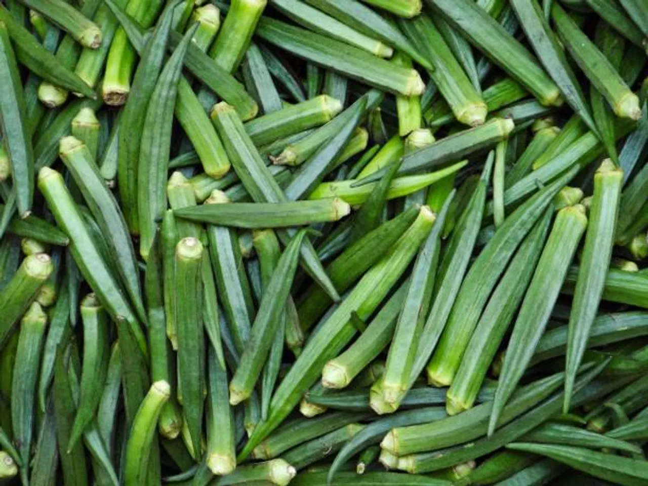 okra soup