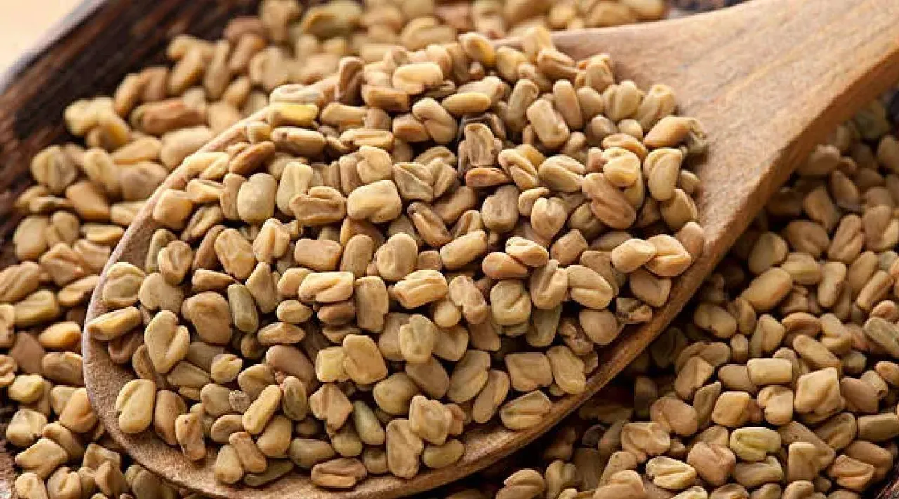 Fenugreek