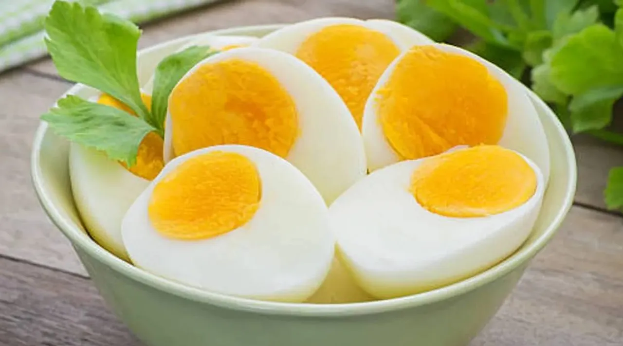 Egg