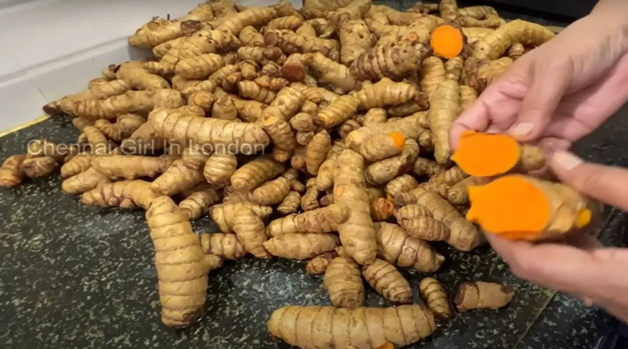 turmeric