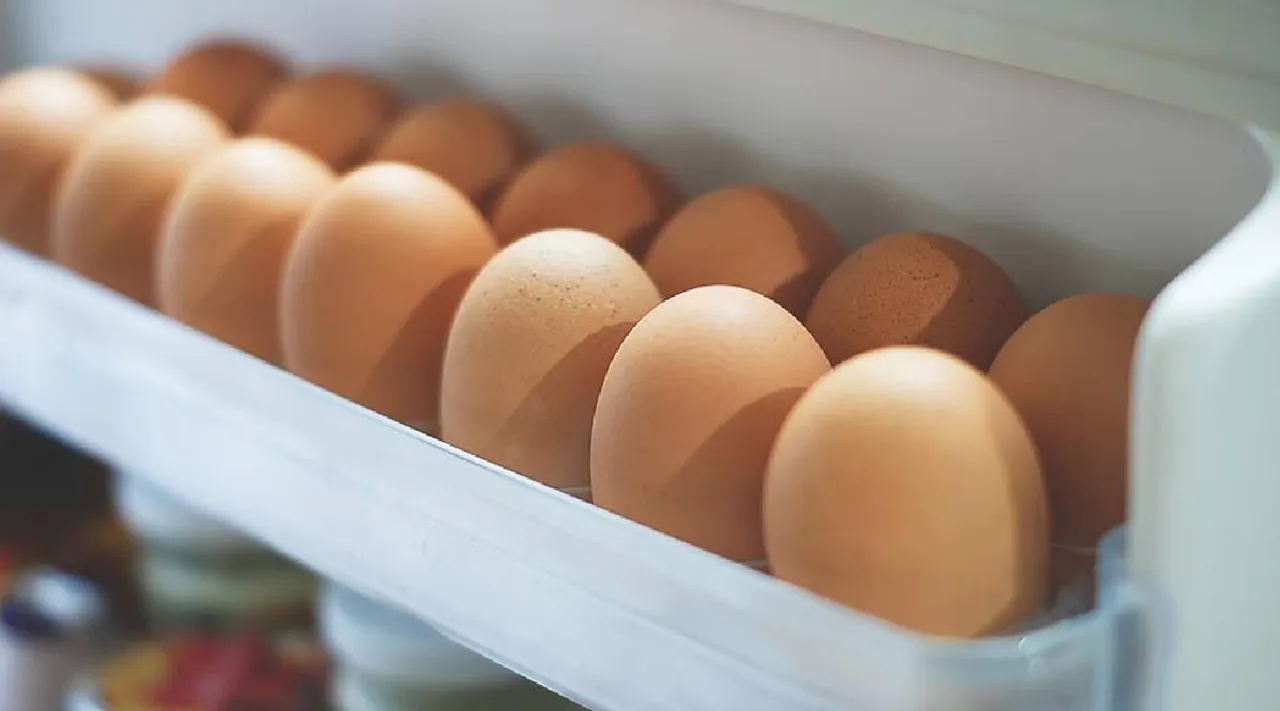 Egg in fridge