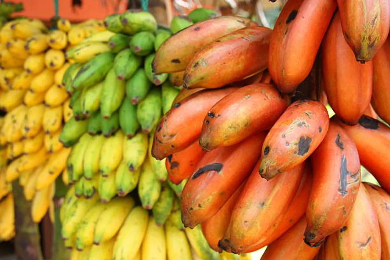 red banana