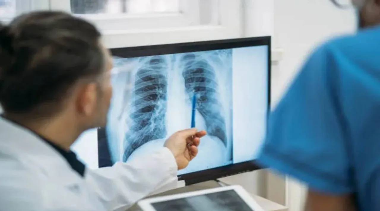 lungs