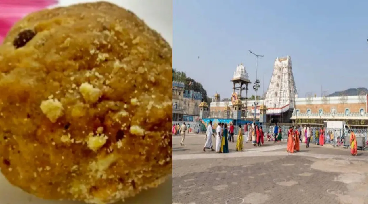tirupathi ladoo