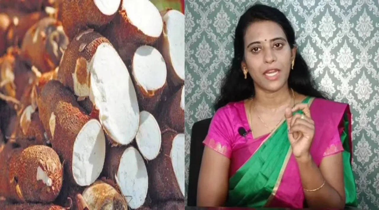 மரவள்ளி கிழங்கு