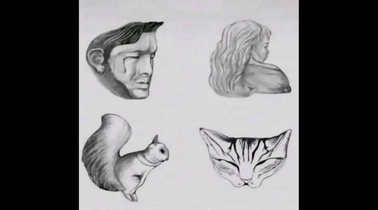 hidden animals
