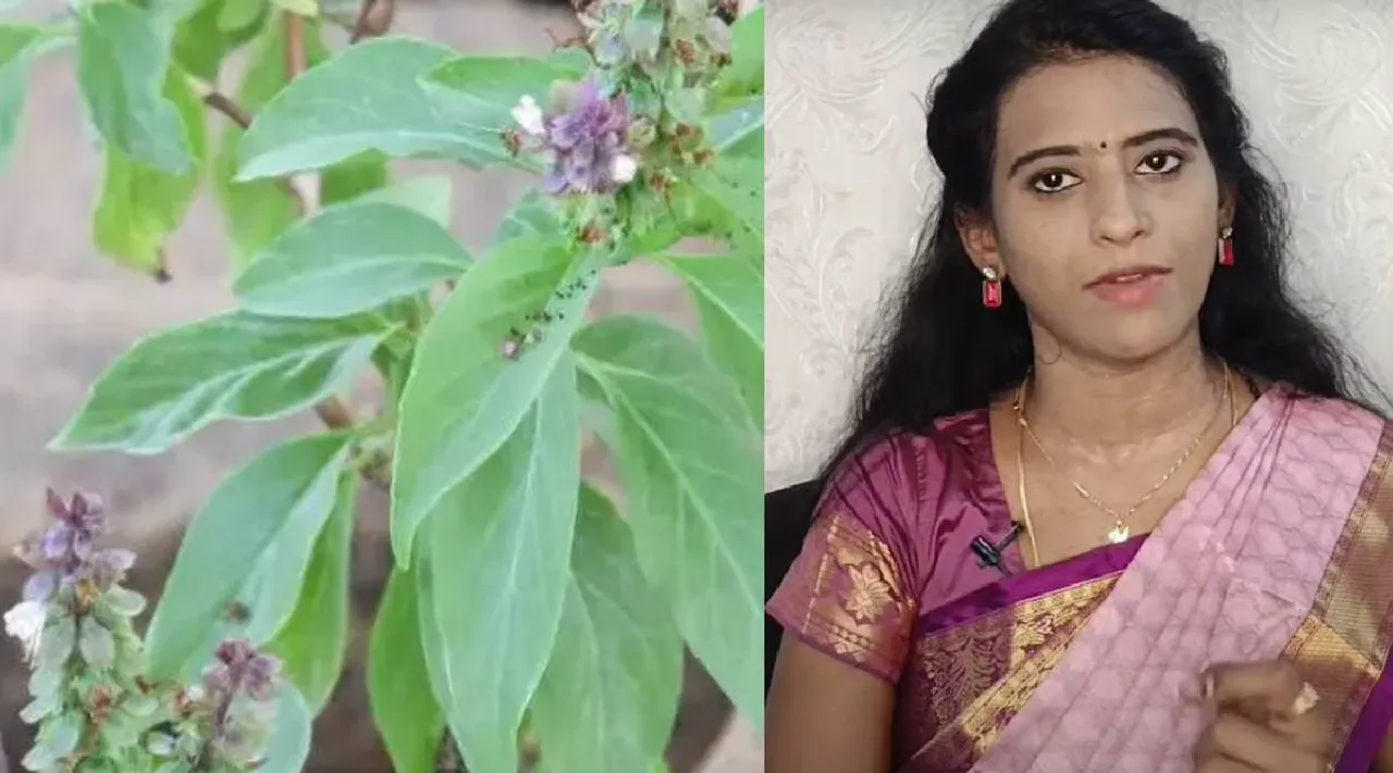 Thiruneetru pachilai