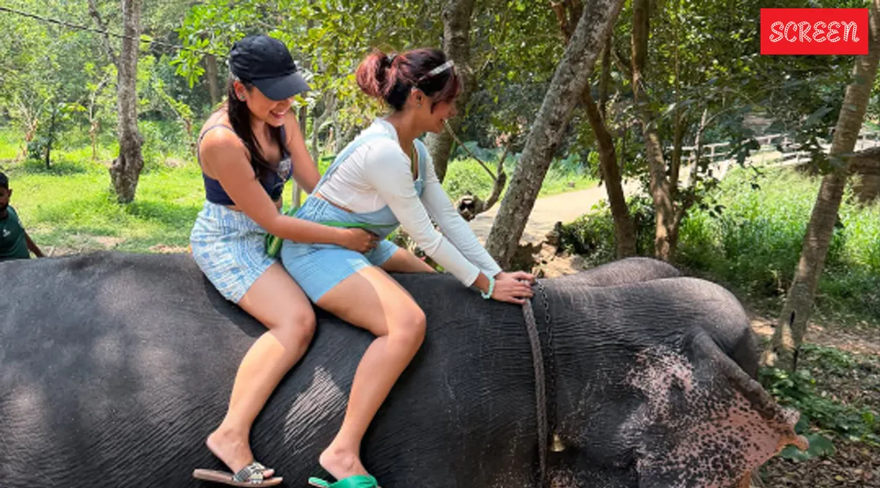 Elephant with Janani