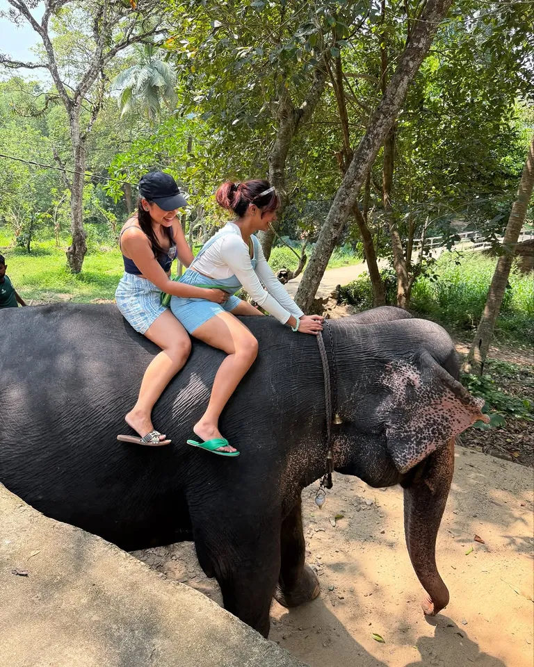 Elephant with Janani