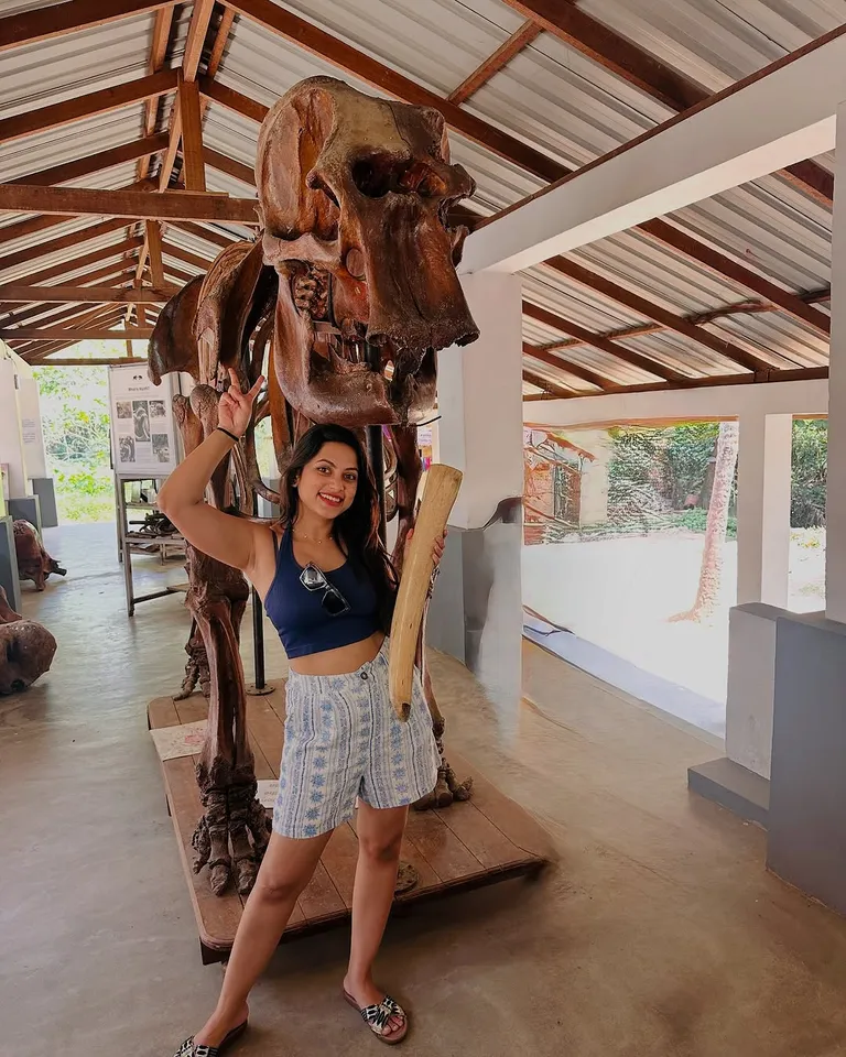 Elephant with Janani