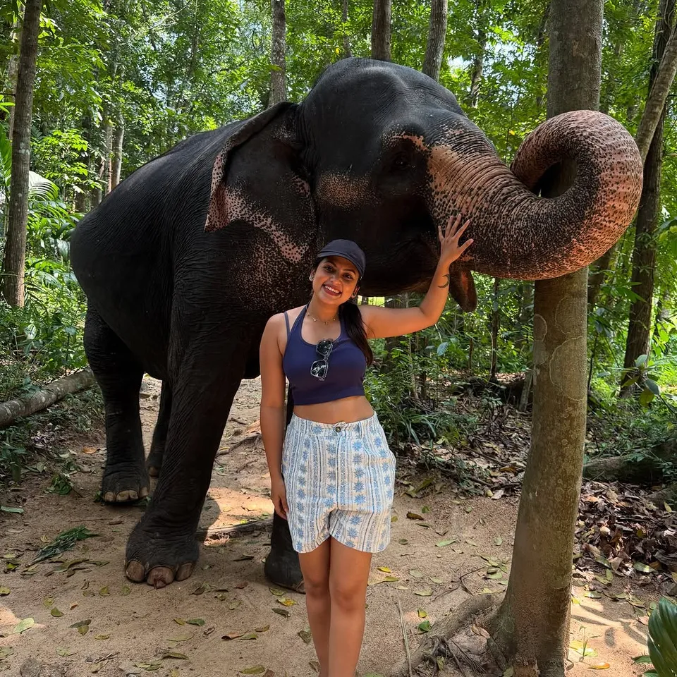 Elephant with Janani