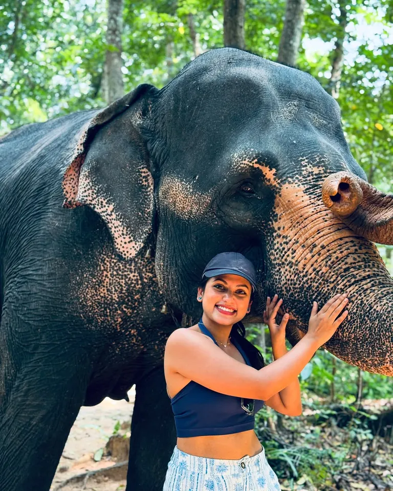 Elephant with Janani