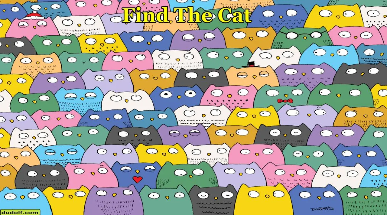 Cat among Ow