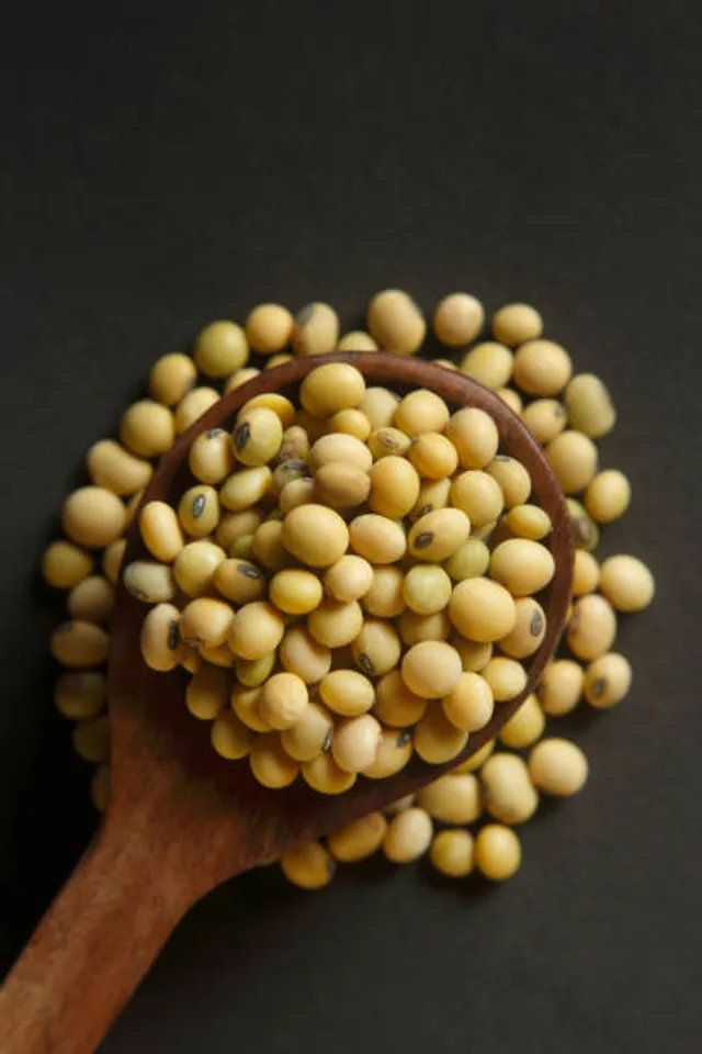 soya beans