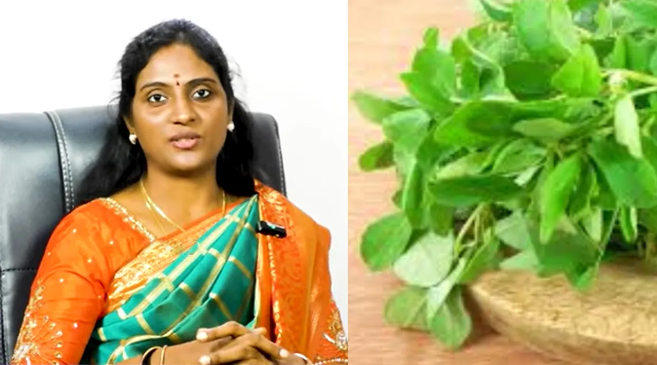 Venthaa