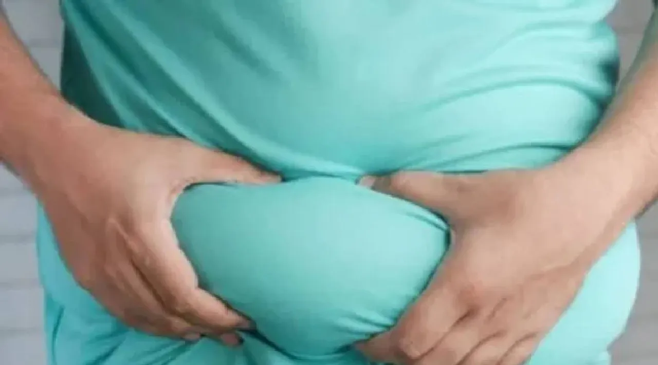 Belly fat