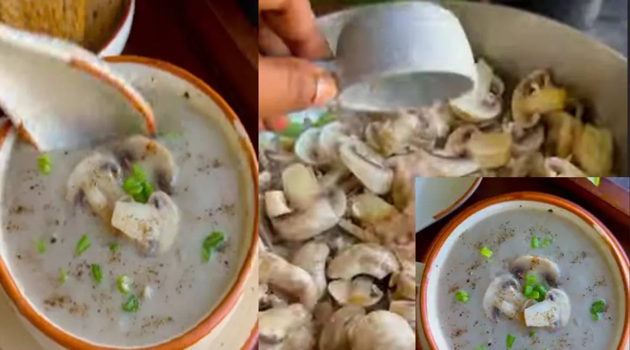 mushroom soup