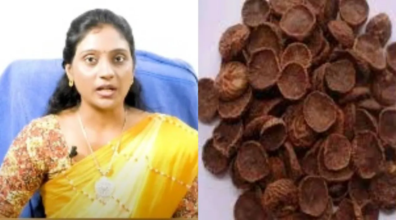 kottai paakku dr nithya