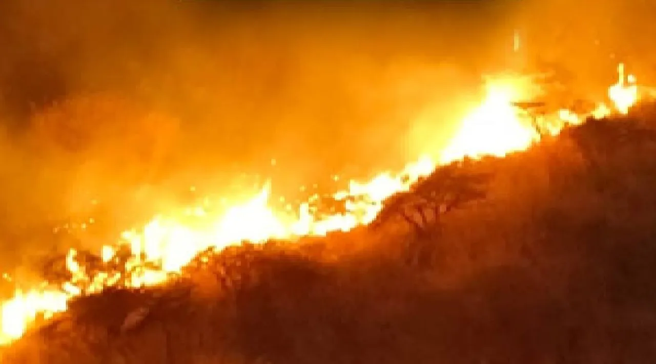 Fire at western ghats