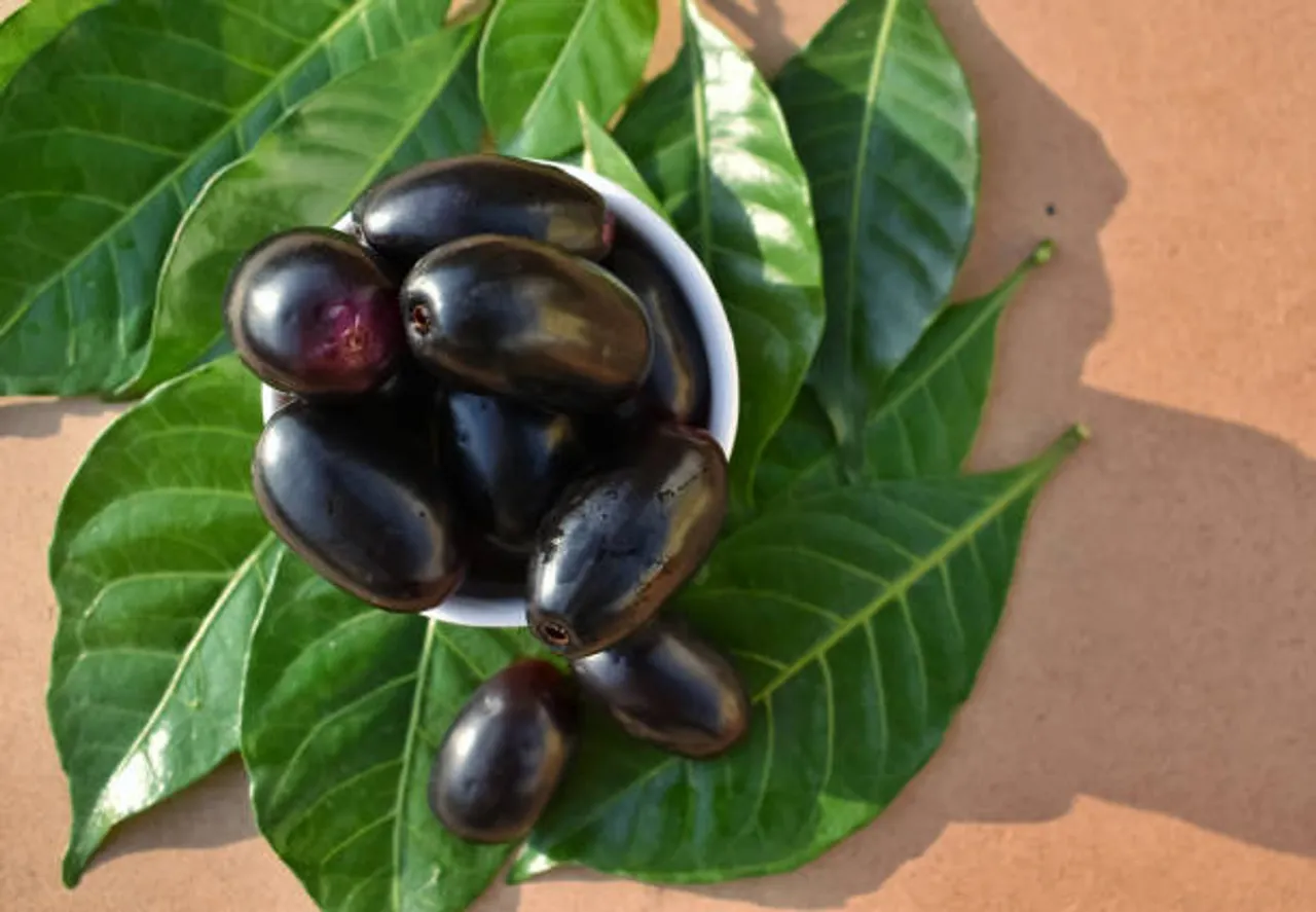 jamun fruit