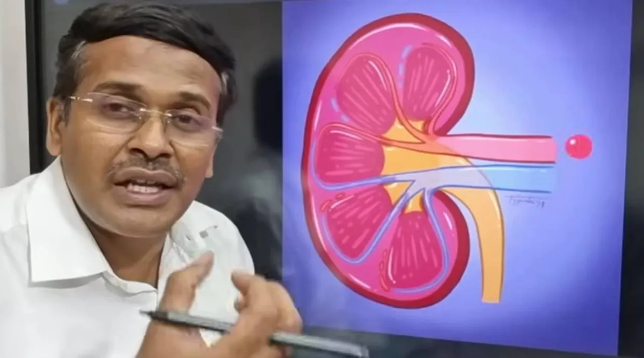 கிட்னி செயல்பாடு