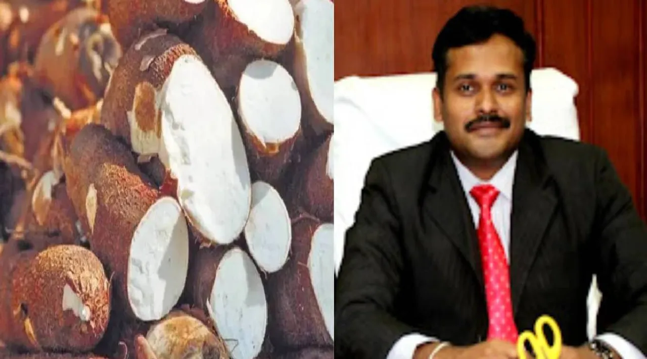 மரவள்ளி கிழங்கு                      