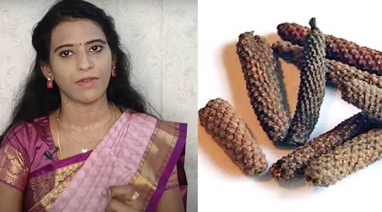Thippili