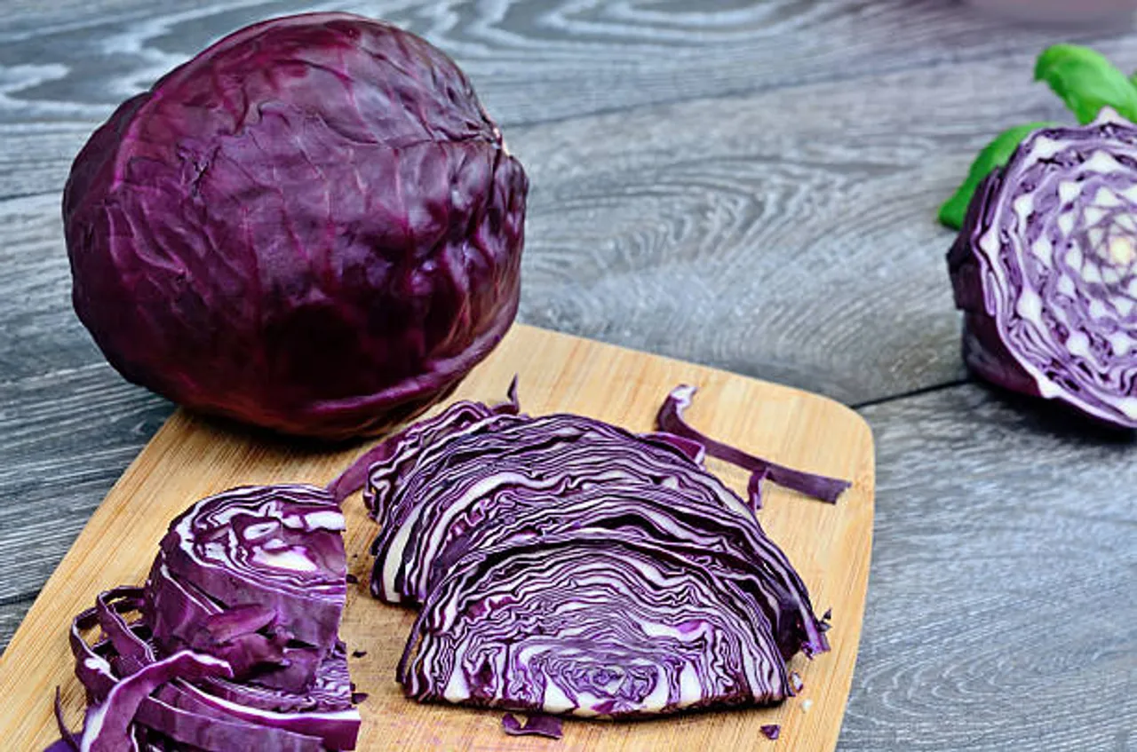 purple cabbage