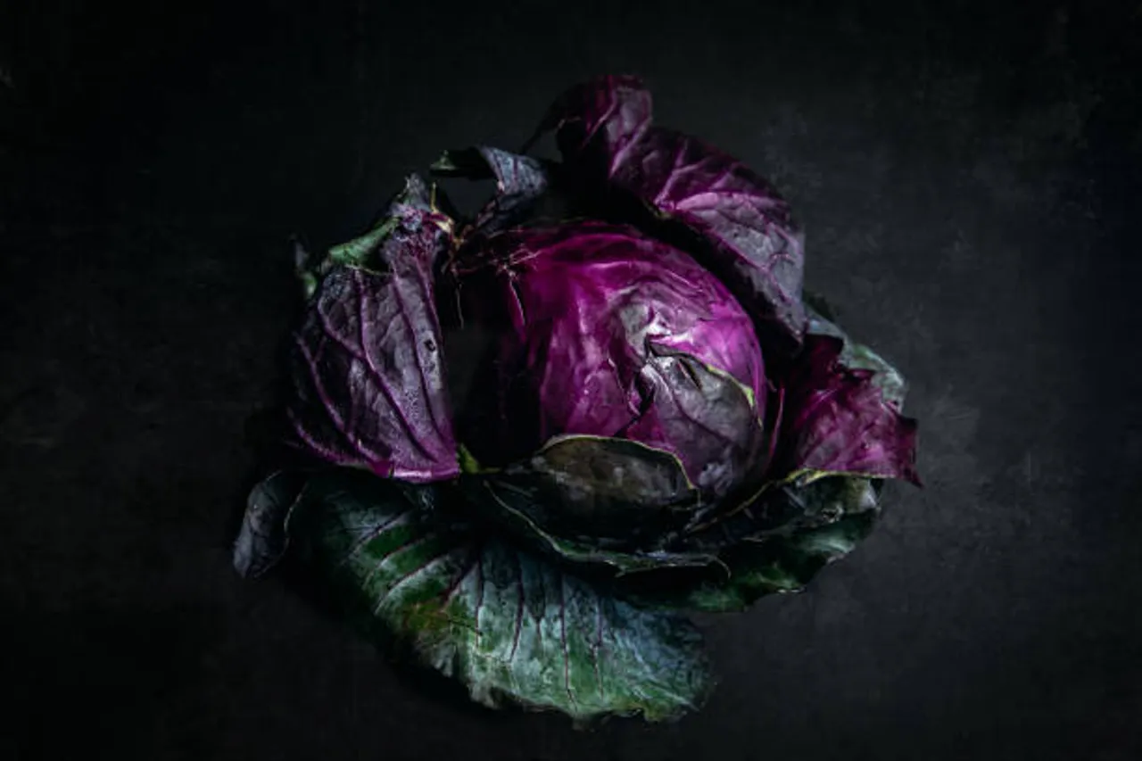 purple cabbage