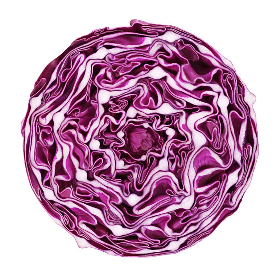 purple cabbage