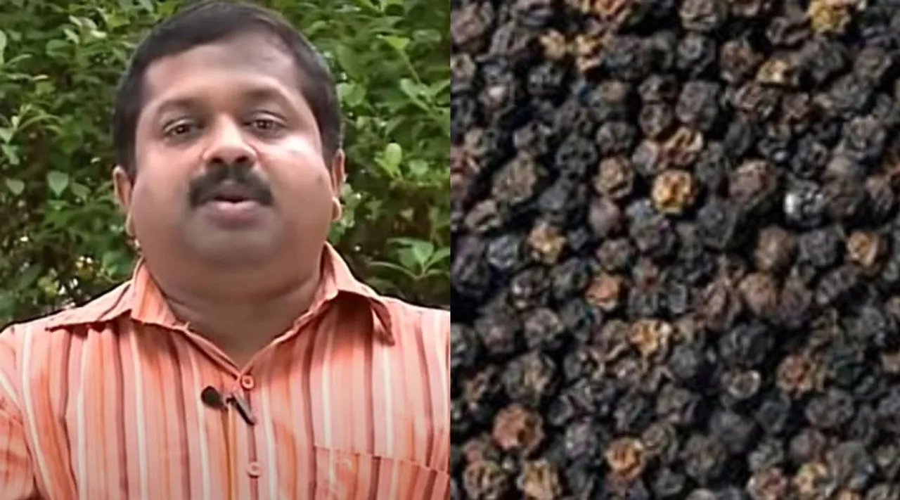 sivaraman pepper