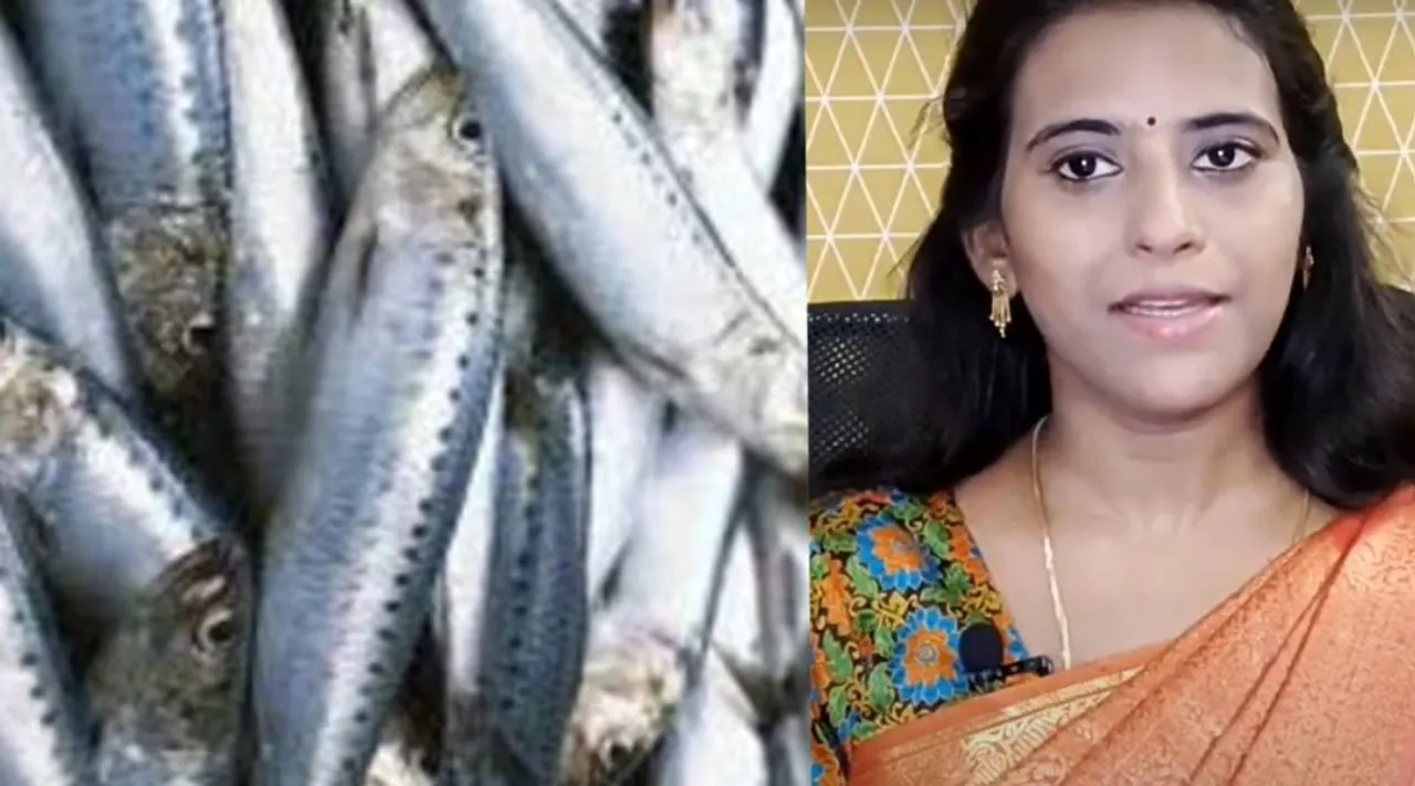 Maththi Fish